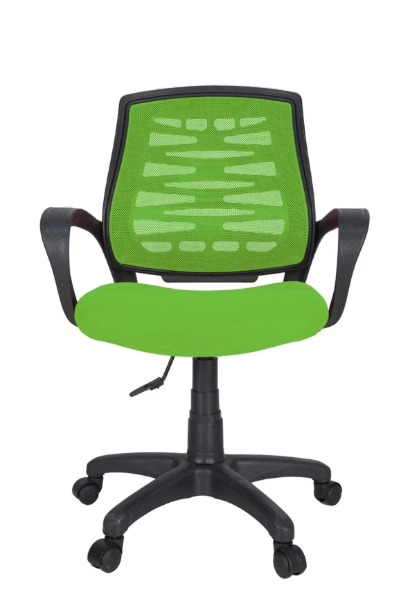 Gizmo Ergo Fileli Bilgisayar Ofis Çalışma Koltuğu Fk1000 Yeşil - 2