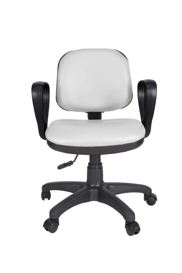 Gizmo Bilgisayar Ofis Çalışma Sandalyesi Koltuğu Dk1000 Beyaz - 2