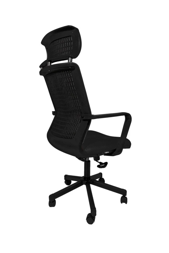 Gizmo Efor Fileli Şef Bilgisayar Ofis Çalışma Koltuğu Fk1401 Siyah