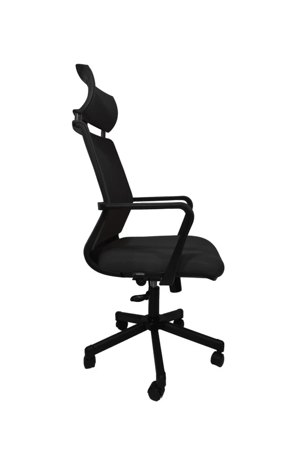 Gizmo Efor Fileli Şef Bilgisayar Ofis Çalışma Koltuğu Fk1401 Siyah - 3