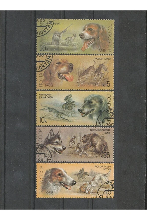 1988 rusya cccp köpek temalı pul (Kartonet gönderilmiycektir.)