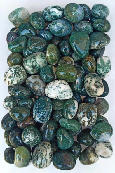 50 Gram Yosunlu Akik Tamburlu Parçalar 117 - 2