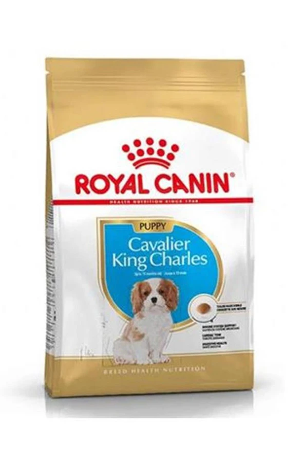 Royal Canin Dog BHN Cavalier King Yavru  Köpek Maması 1,5 KG