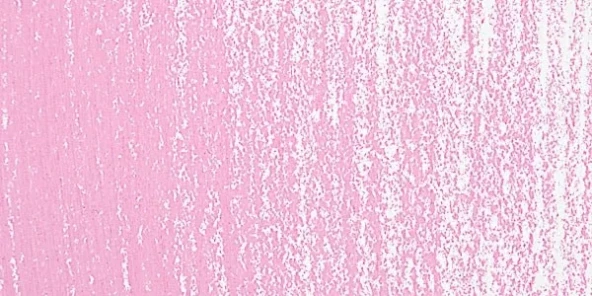 Rembrandt Soft Pastel Boya Permanent Rose 397.9