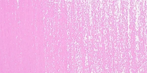 Rembrandt Soft Pastel Boya Red Violet 545.8