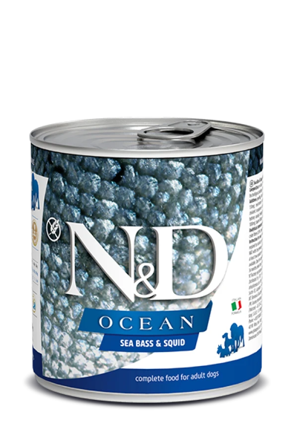 N&D OCEAN MORİNA BALIĞI VE BALKABAĞI KÖPEK KONSERVE 285 GR 6 LI