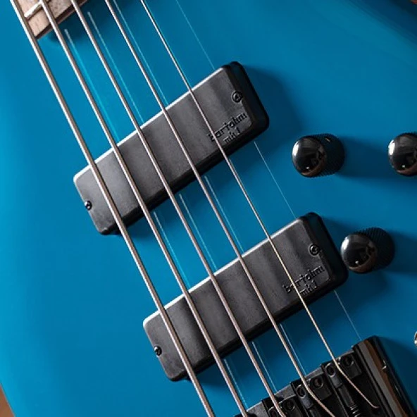 Cort C5 DELUXE BK 5 Telli Bas Gitar (Siyah) - 2