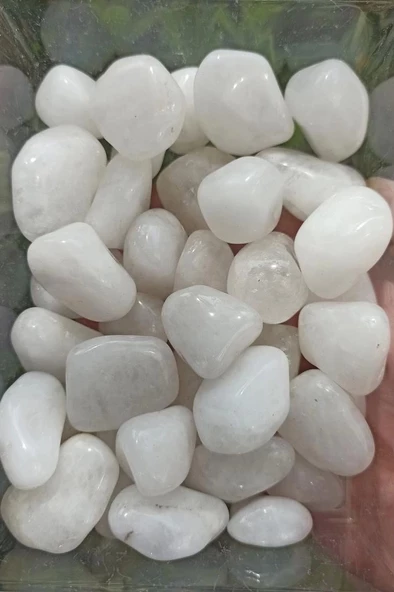 50 Gram Süt Kuvars Tamburlu Parçalar 643 - 2