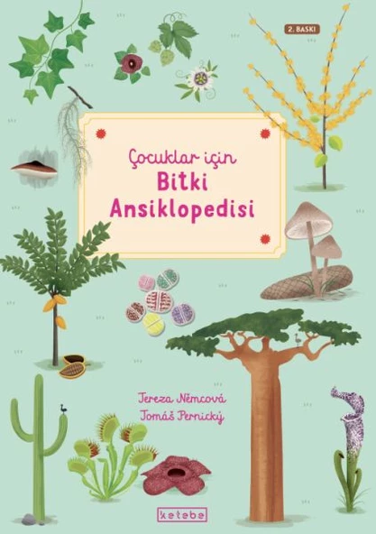 Çocuklar İçin Bitki Ansiklopedisi ürün görseli