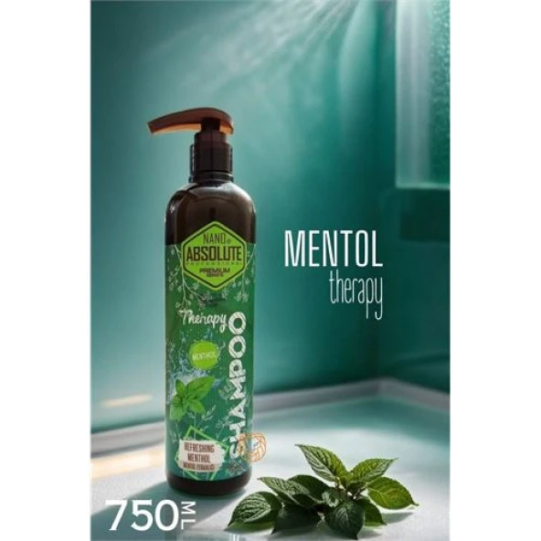Renkmix 6 Adet Saç şampuanı Mentol Terapi Absolute Professional