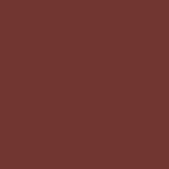 Cadence Chalkboard Paint 120ml Kara Tahta Boyası 2540 Terracotta