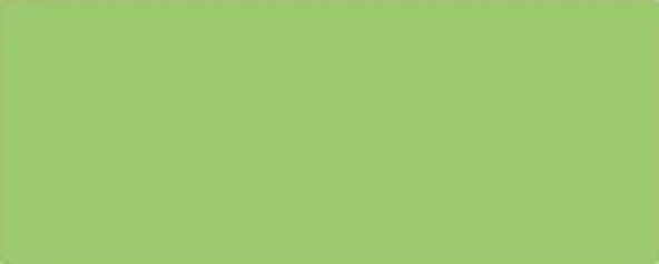 Mungyo Gallery Artists Toz Pastel Boya 039 Fluorescent Green