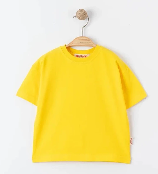 uğurböceğiçocuk Tiffany 27104 Basic Sürem Erkek Çocuk T-shirt - 3