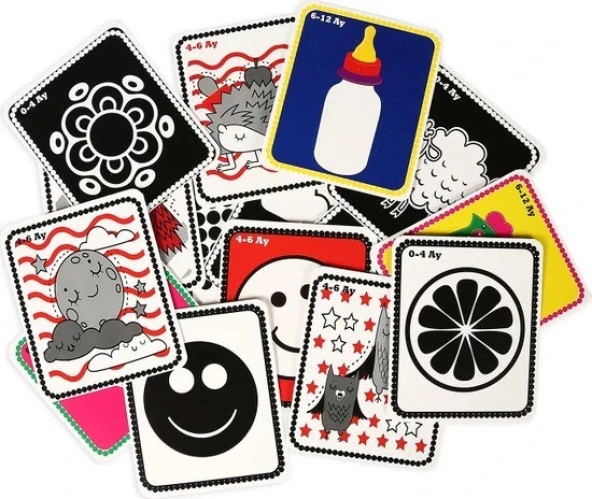 Diytoy Bebeğimin İlk Zeka Kartları (Flash Kart)  1369 - Resim 3