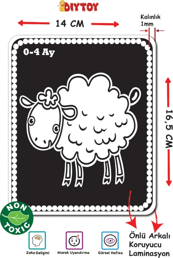 Diytoy Bebeğimin İlk Zeka Kartları (Flash Kart)  1369 - Resim 4