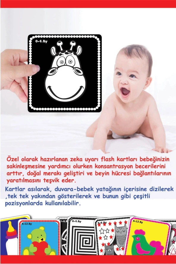 Diytoy Bebeğimin İlk Zeka Kartları (Flash Kart)  1369 - Resim 5