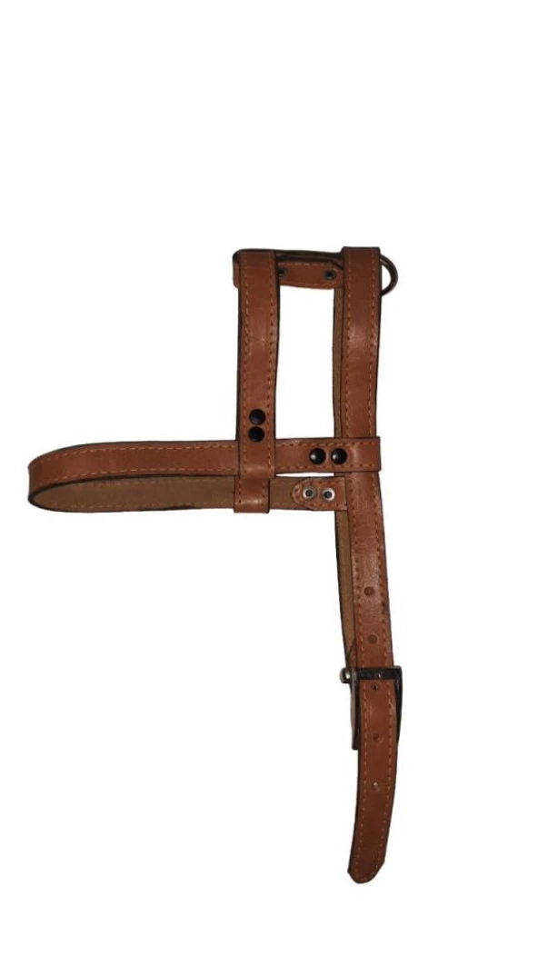 Lovely Hakiki Deri Ayarlanır Köpek Göğüs Tasması 2cm 15-25Kg Köpeklere Kahve