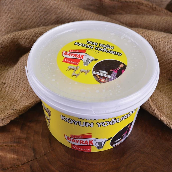 Bayrak Karapınar Koyun Yoğurdu Kova 2000 g e - 3