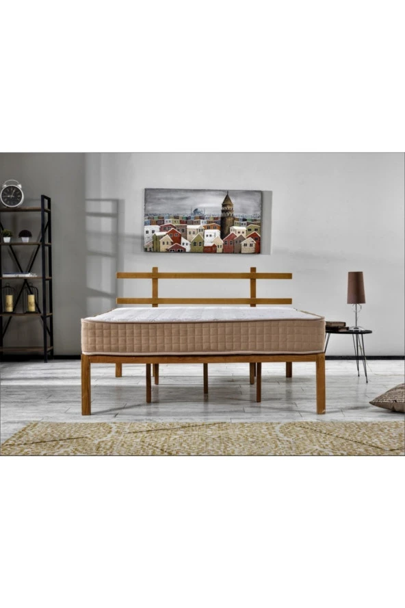 ASROYALLÜKS Bronz Çift Taraf Kullanım Bamboo Kumaş Yaylı Yatak - 3