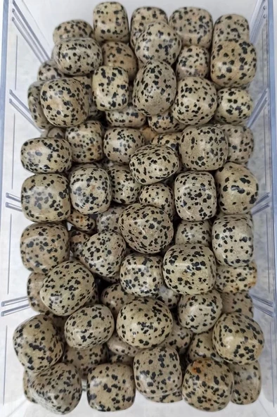 Dalmaçyalı Jasper 50 Gram Tamburlu Parçalar 225 - 2