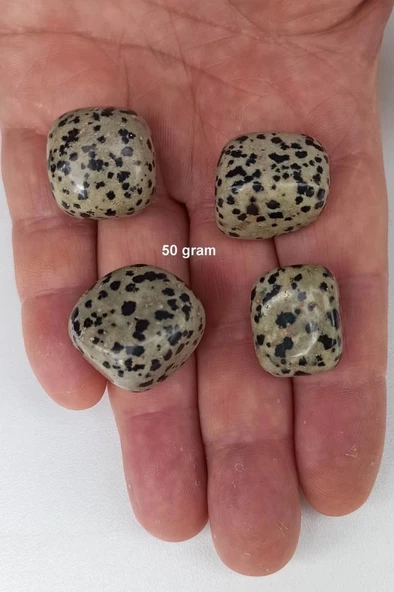 Dalmaçyalı Jasper 50 Gram Tamburlu Parçalar 225