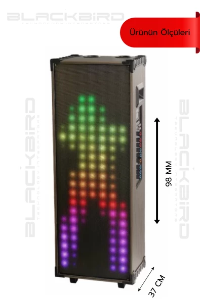 Hepu Hp-933 100W 2 Bluetooth Mikrofonlu Büyük Boy Parti Hoparlörü - 2