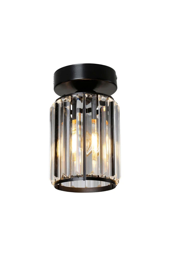 Modelight Alis Plafonyer Avize Siyah - 2