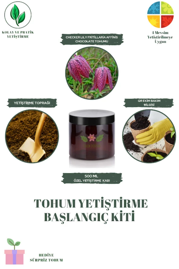 Checker Lıly Fritillaria Affinis Chocolate Tohumu Yetiştirme Kiti
