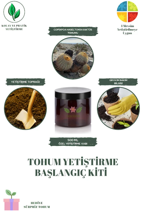 Copiapoa Haseltonia Kaktüs Tohumu Yetiştirme Kiti