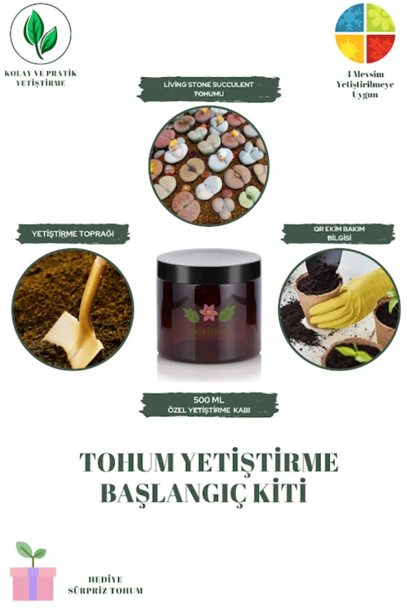 Living Stone Succulent Tohumu Yetiştirme Kiti