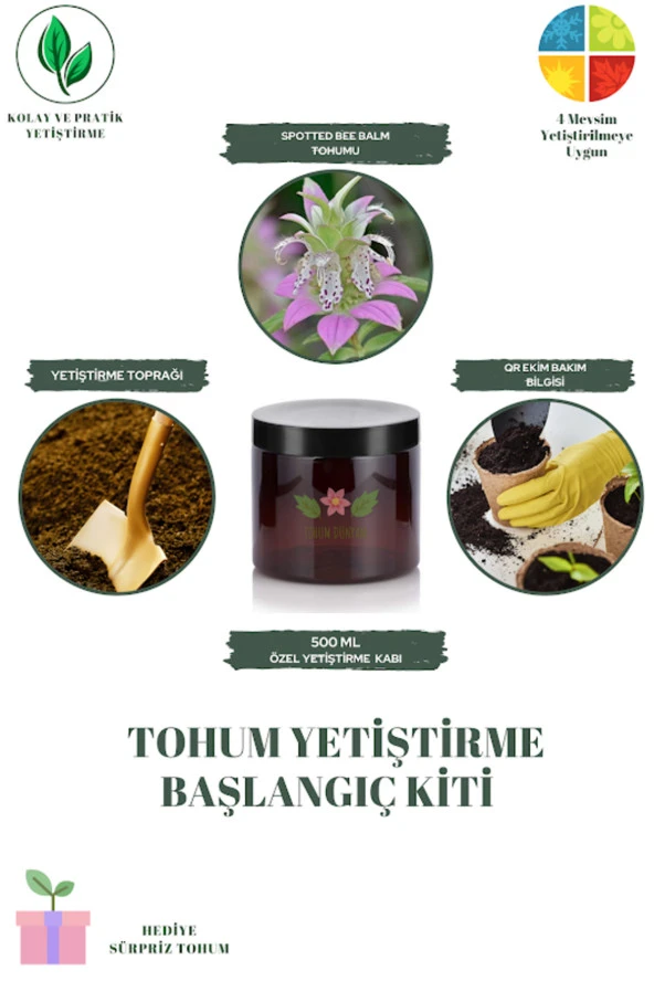 Spotted Bee Balm Tohumu Yetiştirme Kiti