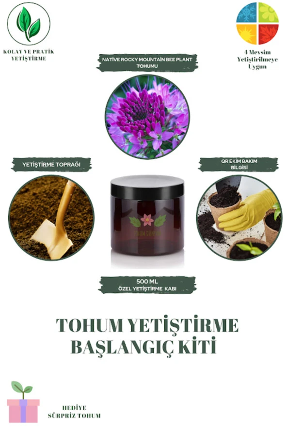 Native Rocky Mountain Bee Plant Tohumu Yetiştirme Kiti