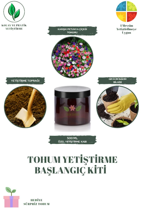 Karışık Petunya Çiçeği Tohumu Yetiştirme Kiti