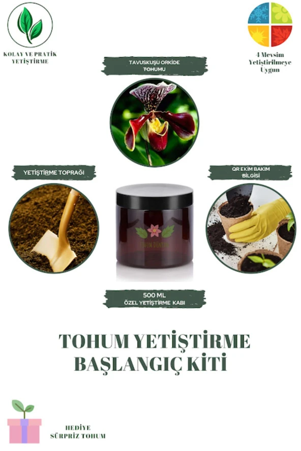 Tavuskuşu Orkide Tohumu Yetiştirme Kiti