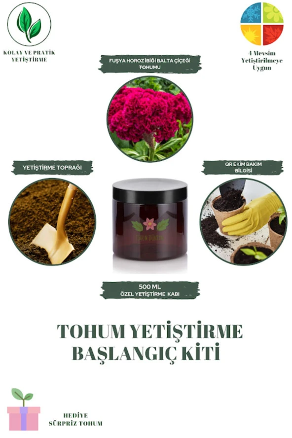 Fuşya Horoz İbiği Balta Çiçeği Tohumu Yetiştirme Kiti
