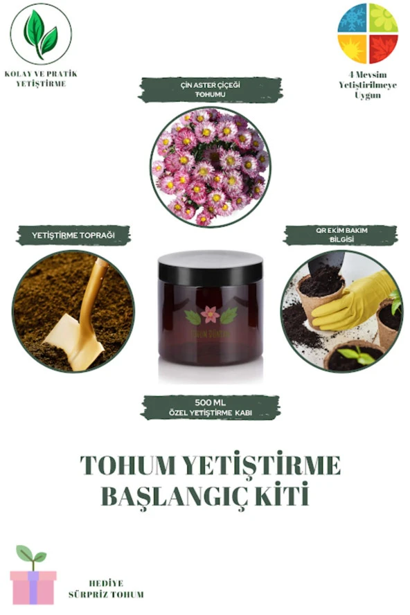 Çin Aster Çiçeği Tohumu Yetiştirme Kiti