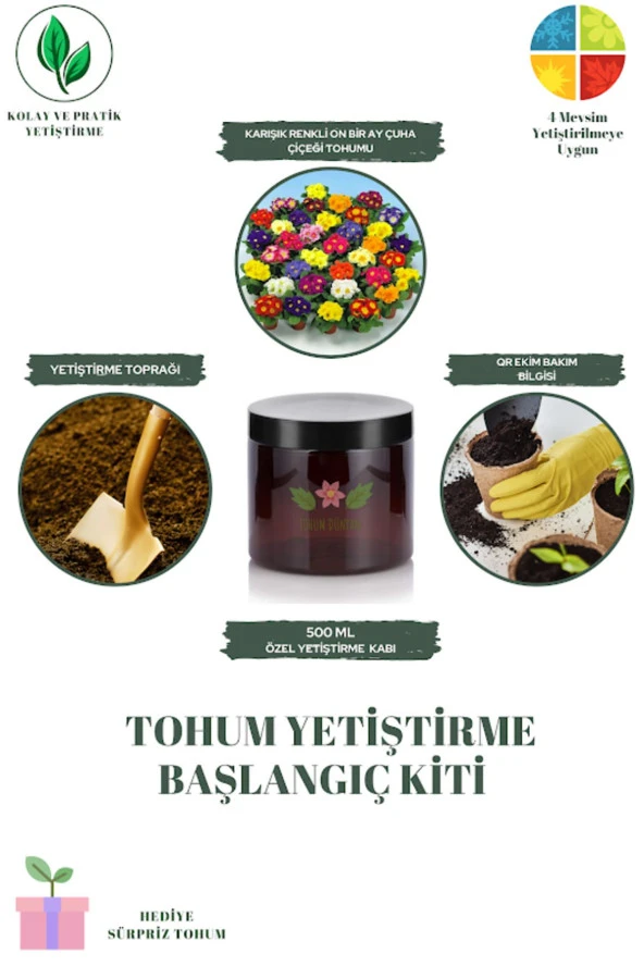 Karışık Renkli On Bir Ay Çuha Çiçeği Tohumu Yetiştirme Kiti