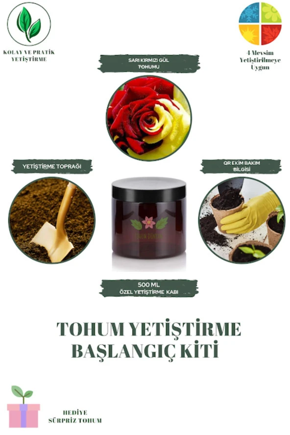 Sarı Kırmızı Gül Tohumu Yetiştirme Kiti