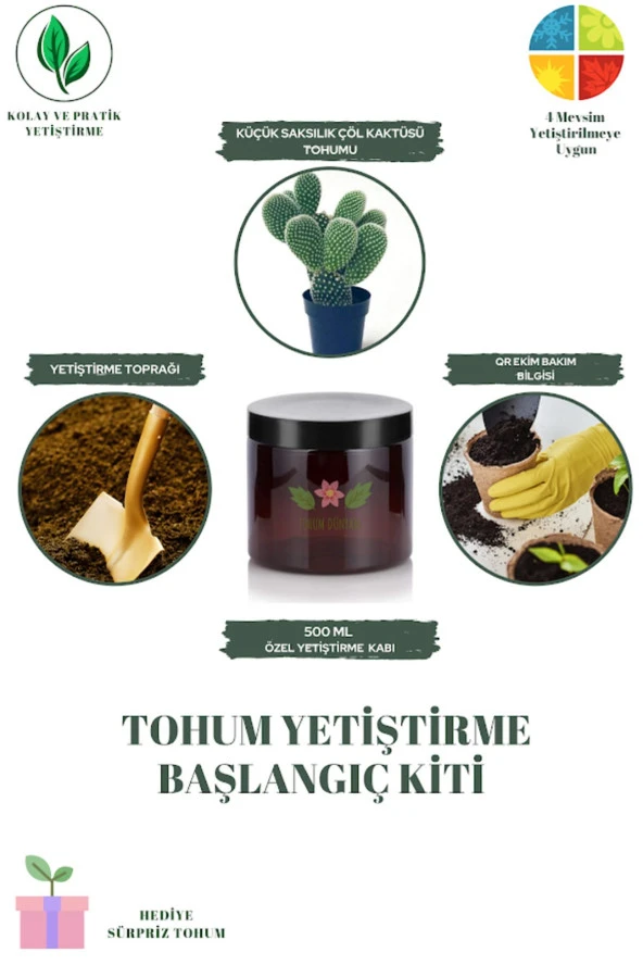 Küçük Saksılık Çöl Kaktüsü Tohumu Yetiştirme Kiti