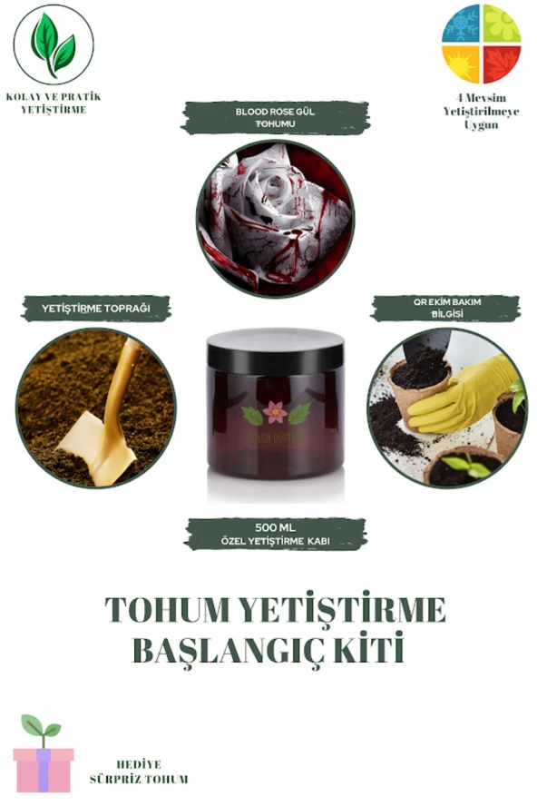 Blood Rose Gül Tohumu Yetiştirme Kiti