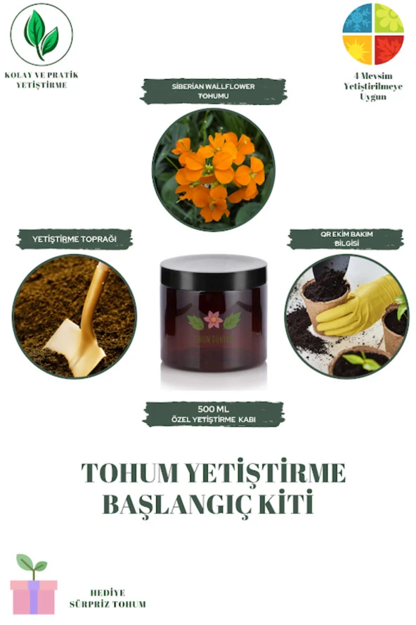 Siberian Wallflower Tohumu Yetiştirme Kiti