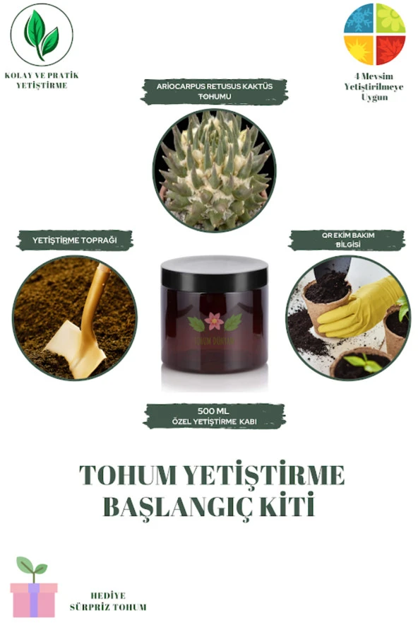 Ariocarpus Retusus Kaktüs Tohumu Yetiştirme Kiti