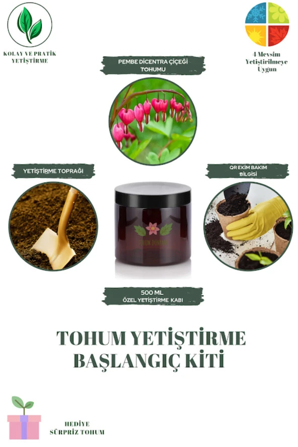 Pembe Dicentra Çiçeği Tohumu Yetiştirme Kiti