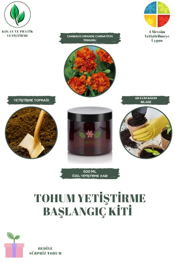 Chabaud Orange Carnation Tohumu Yetiştirme Kiti