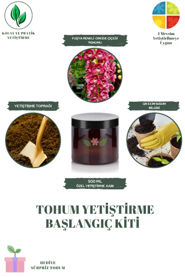 Fuşya Renkli Orkide Çiçeği Tohumu Yetiştirme Kiti