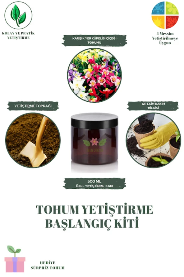 Karışık Yer Küpelisi Çiçeği Tohumu Yetiştirme Kiti