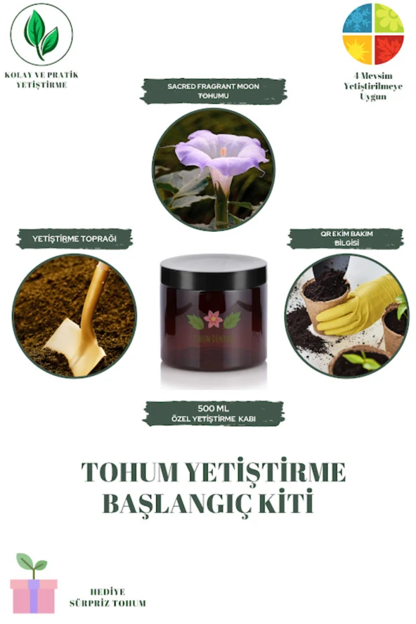 Sacred Fragrant Moon Tohumu Yetiştirme Kiti