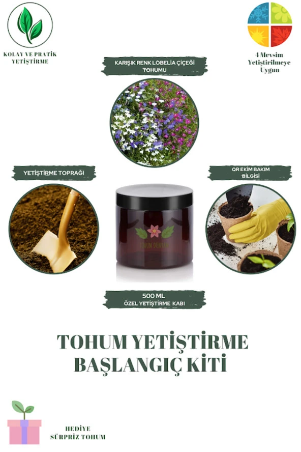 Karışık Renk Lobelia Çiçeği Tohumu Yetiştirme Kiti