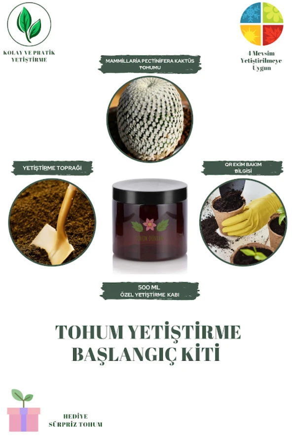 Mammillaria Pectinifera Kaktüs Tohumu Yetiştirme Kiti