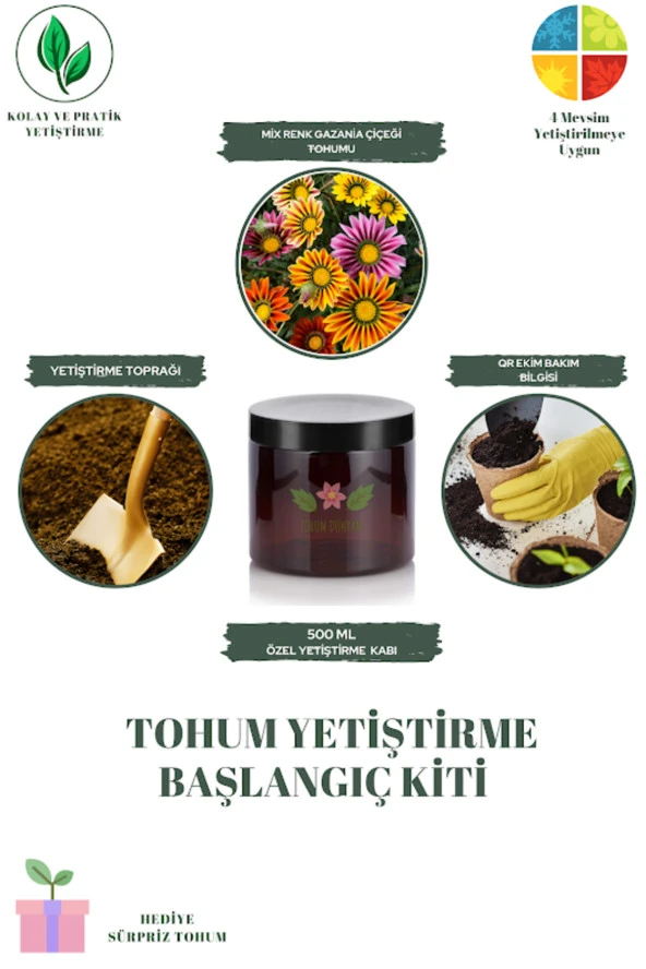 Mix Renk Gazania Çiçeği Tohumu Yetiştirme Kiti